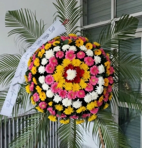 ¶˪-ջʡҶͼƣֱ70CMԼΪ1.2<Ȧ>