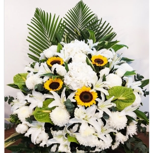 ǳ-ջʡٺϣտҶ<仨>